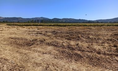 PROPIEDAD AGRÍCOLA EN VENTA, CAMPO DE 35 HA, SAN JAVIER