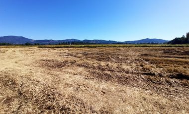 PROPIEDAD AGRÍCOLA EN VENTA, CAMPO DE 35 HA, SAN JAVIER