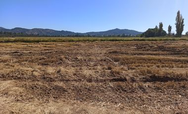 PROPIEDAD AGRÍCOLA EN VENTA, CAMPO DE 35 HA, SAN JAVIER