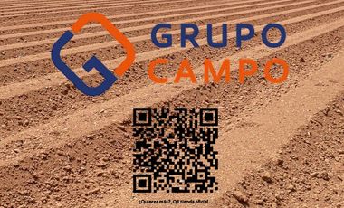 PROPIEDAD AGRÍCOLA EN VENTA, CAMPO DE 35 HA, SAN JAVIER