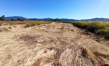 PROPIEDAD AGRÍCOLA EN VENTA, CAMPO DE 35 HA, SAN JAVIER
