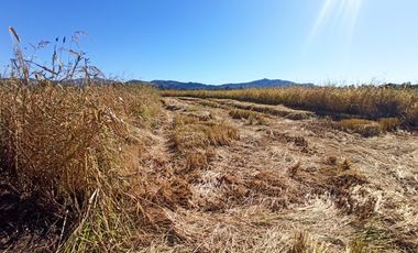 PROPIEDAD AGRÍCOLA EN VENTA, CAMPO DE 35 HA, SAN JAVIER