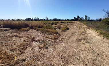 PROPIEDAD AGRÍCOLA EN VENTA, CAMPO DE 35 HA, SAN JAVIER
