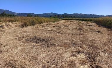 PROPIEDAD AGRÍCOLA EN VENTA, CAMPO DE 35 HA, SAN JAVIER