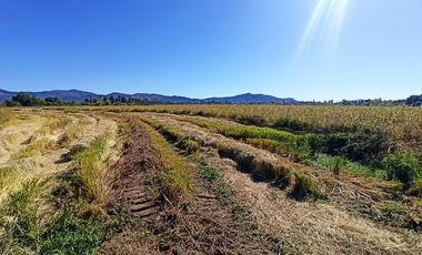PROPIEDAD AGRÍCOLA EN VENTA, CAMPO DE 35 HA, SAN JAVIER