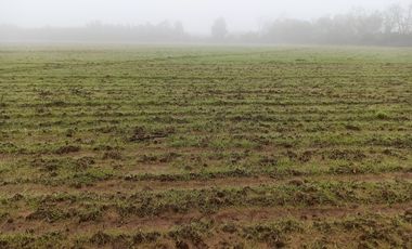 PROPIEDAD AGRICOLA EN VENTA EN SAN CLEMENTE, 10,6 HA