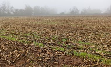 PROPIEDAD AGRICOLA EN VENTA EN SAN CLEMENTE, 10,6 HA