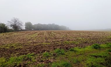 PROPIEDAD AGRICOLA EN VENTA EN SAN CLEMENTE, 10,6 HA
