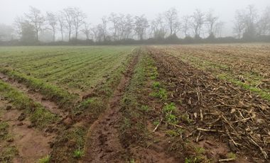 PROPIEDAD AGRICOLA EN VENTA EN SAN CLEMENTE, 10,6 HA
