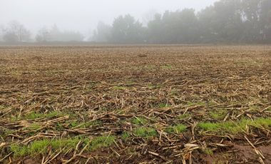 PROPIEDAD AGRICOLA EN VENTA EN SAN CLEMENTE, 10,6 HA