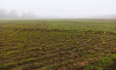 PROPIEDAD AGRICOLA EN VENTA EN SAN CLEMENTE, 10,6 HA