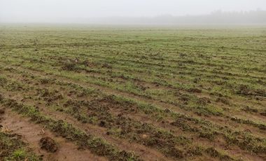 PROPIEDAD AGRICOLA EN VENTA EN SAN CLEMENTE, 10,6 HA
