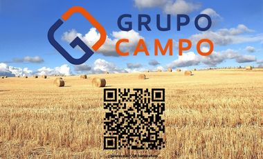 PROPIEDAD AGRICOLA EN VENTA EN SAN CLEMENTE, 10,6 HA