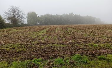 PROPIEDAD AGRICOLA EN VENTA EN SAN CLEMENTE, 10,6 HA