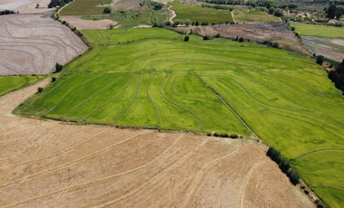VENTA TERRENO - SITIO 22500MTS Ñiquén