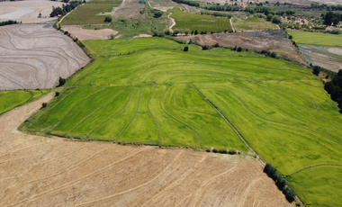 VENTA TERRENO - SITIO 22500MTS Ñiquén