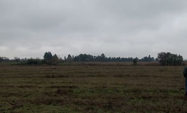 VENTA TERRENO - SITIO 22500MTS Ñiquén