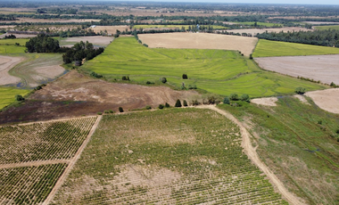 VENTA TERRENO - SITIO 22500MTS Ñiquén