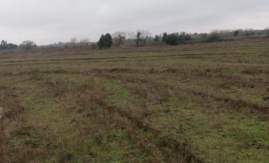 VENTA TERRENO - SITIO 22500MTS Ñiquén