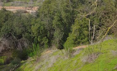 CAJON DE LEBU - SE VENDE LINDA PARCELA DE 5000 M2