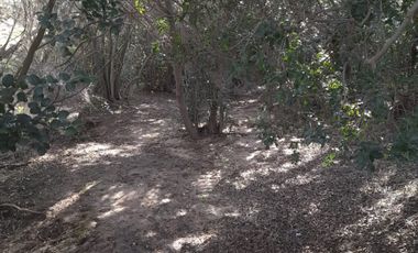 CAJON DE LEBU - SE VENDE LINDA PARCELA DE 5000 M2