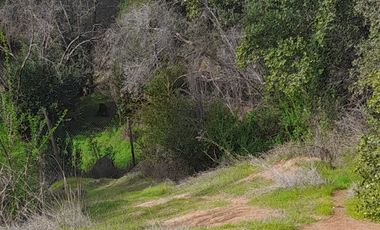 CAJON DE LEBU - SE VENDE LINDA PARCELA DE 5000 M2