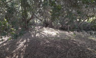 CAJON DE LEBU - SE VENDE LINDA PARCELA DE 5000 M2
