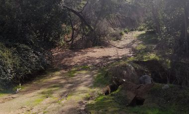 CAJON DE LEBU - SE VENDE LINDA PARCELA DE 5000 M2
