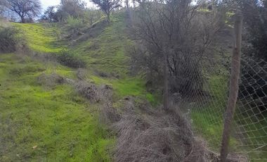 CAJON DE LEBU - SE VENDE LINDA PARCELA DE 5000 M2
