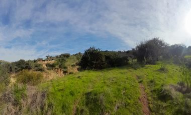 CAJON DE LEBU - SE VENDE LINDA PARCELA DE 5000 M2