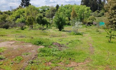 VENTA PARCELA 5000M2 CON CASA - RIO CLARO