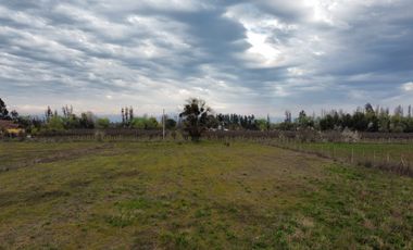 PARCELA 5000 M2, SECTOR LAS RASTRAS