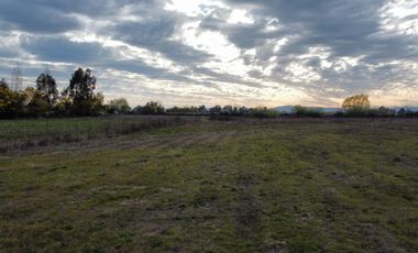 PARCELA 5000 M2, SECTOR LAS RASTRAS