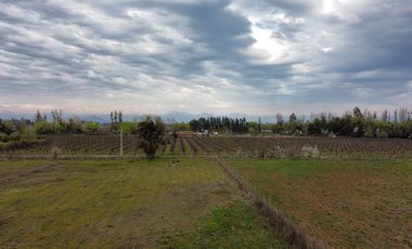 PARCELA 5000 M2, SECTOR LAS RASTRAS