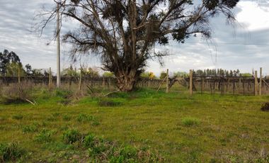 PARCELA 5000 M2, SECTOR LAS RASTRAS