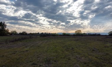 PARCELA 5000 M2, SECTOR LAS RASTRAS