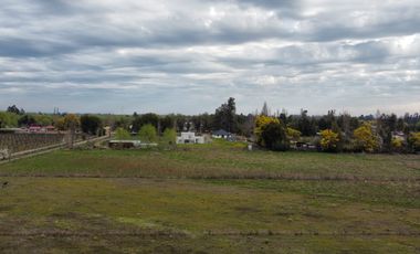 PARCELA 5000 M2, SECTOR LAS RASTRAS