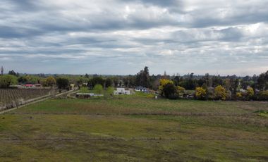 PARCELA 5000 M2, SECTOR LAS RASTRAS