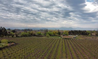 PARCELA 5000 M2, SECTOR LAS RASTRAS