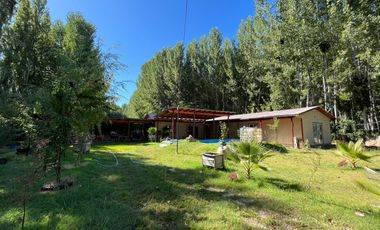 VENTA TERRENO - SITIO 1566MTS COLTAUCO CON CASA