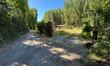 VENTA TERRENO - SITIO 1566MTS COLTAUCO CON CASA