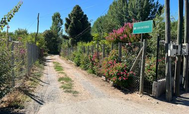 VENTA TERRENO - SITIO 1566MTS COLTAUCO CON CASA