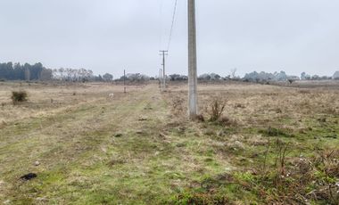 VENTA PARCELAS 5000M2 SIN COMISION