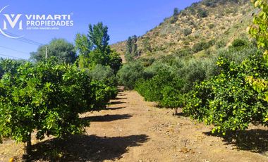 VENTA  HERMOSO CAMPO 20000MTS EL TAMBO