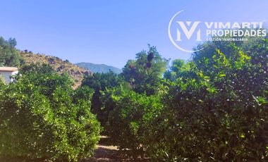 VENTA  HERMOSO CAMPO 20000MTS EL TAMBO
