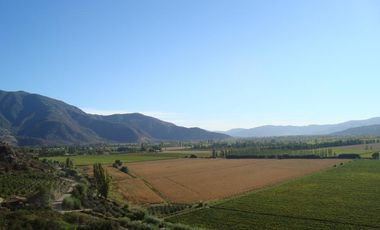 VENTA  HERMOSO CAMPO 20000MTS EL TAMBO