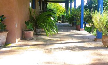 VENTA  HERMOSO CAMPO 20000MTS EL TAMBO