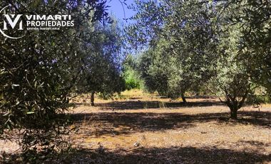 VENTA  HERMOSO CAMPO 20000MTS EL TAMBO
