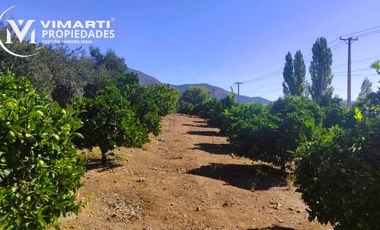 VENTA  HERMOSO CAMPO 20000MTS EL TAMBO