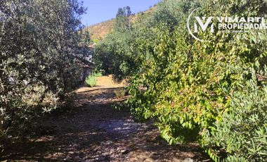 VENTA  HERMOSO CAMPO 20000MTS EL TAMBO